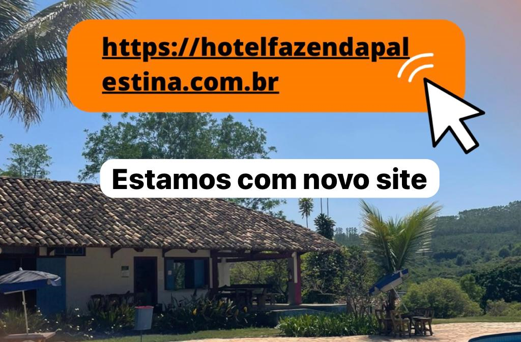 novo site